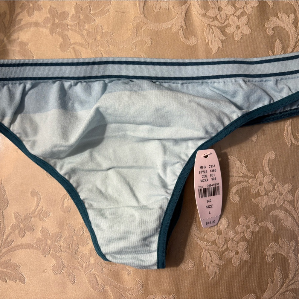 Victoria's Secret Blue and Green Bikini Panties